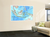 Indonesia 1996 Wall Mural
