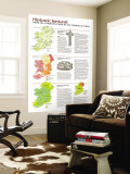 Ireland Historic 1981 Wall Mural