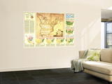 Territorial Growth United States 1987 Mural Territorial Growth United States 1987 Mural
