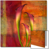 Three Pink Lilies Print by Robert Cattan