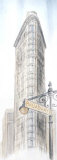 Street of New York I Plakater av Beatriz Berthet