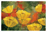 Yellow Pops I Affiche par Angellini 