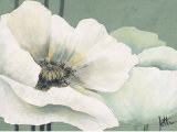 Poppy in Green I Prints by Jettie Roseboom