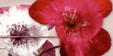 Anemonen Duo II Prints by Frauke Meszaros