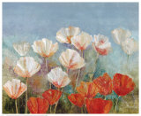 Blushing Poppies Prints by Angellini 