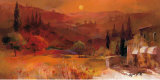 Romantic Tuscany II Art par Willem Haenraets