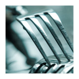Silver Fork II Prints by Jean-François Dupuis