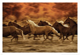 Autumn Run Prints by Jerry Sintz
