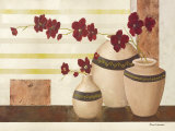 Red Blossom II Posters by David Sedalia