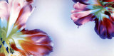 Floral Fantasy I Posters by Frauke Meszaros