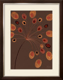 Terracotta Bubble Stem Posters by Alan Buckle