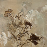 Graphic Beauty II Arte por Jennifer Hollack