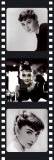 Film Reel IV Print