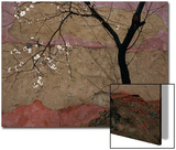Plum Tree against a Colorful Temple Wall Posters by Raymond Gehman