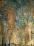 Long Ago Prints by Lydia Marano