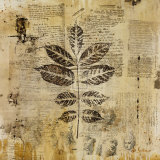 Botanical Sketchbook II Prints by Dennis Carney