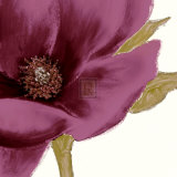 Grandiflora Blush I Art by Linda Wood