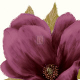 Grandiflora Blush II Posters by Linda Wood