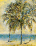 Palm Hammock II Prints by Stiles 