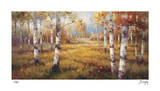 Forest Meadow Limited Edition by Stephen Douglas