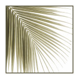 Palm Study VI Edición limitada por Studio EL Collection Palm Study VI Edición limitada por Studio EL Collection