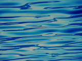 Ocean, Maldives Posters by Stuart Westmorland
