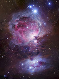 M42, the Orion Nebula (Top), and NGC 1977, a Reflection Nebula (Bottom) Prints by Stocktrek Images 