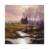 Dream Fields Limitierte Auflage von Eduard Gurevich