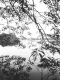 Hoan Kiem Lake View, Hanoi, Vietnam Prints by Walter Bibikow