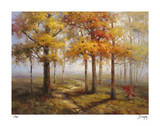Sunlit Steps Limited Edition by Stephen Douglas