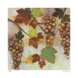 Vineyard Visions II Limited Edition by Aleah Koury