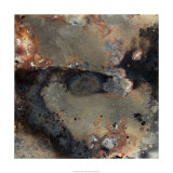 Pangea IV Limited Edition by Kate Archie