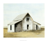 Amarillo II Limited Edition by Megan Meagher