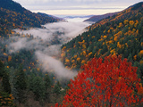Autumn View of Fog from Morton Overlook, Great Smoky Mountains National Park, Tennessee, USA Posters by Adam Jones