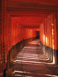 Fushimi-Inari Taisha Shrine, Japan Pósters por Gary Conner Fushimi-Inari Taisha Shrine, Japan Pósters por Gary Conner