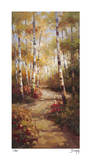 Forest Walkway Limited Edition by Stephen Douglas