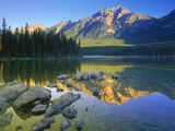 Pyramid Mt. at Sunrise, Canada Póster por Kevin Law Pyramid Mt. at Sunrise, Canada Póster por Kevin Law