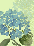 Hydrangea in Blue Prints
