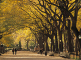 Central Park, New York City, Ny, USA Poster by Walter Bibikow
