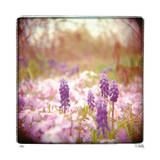 Standing Tall Limited Edition by Rebecca Tolk