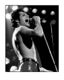 Freddie Mercury Limited Edition by Mike Ruiz