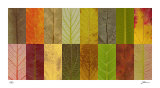 Lark Creek II Limited Edition by John Watson