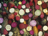 Variation in European Beets, Beta Vulgaris Photographic Print by David Cavagnaro