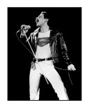 Freddie Mercury Edición limitada por Mike Ruiz