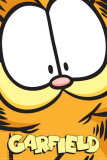 Garfield Print