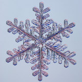 Snowflake Photographic Print by Kenneth Libbrecht