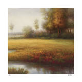 Meadow Light Limited Edition by Li Yong Nam