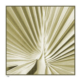 Palm Study III Edition limitée par Studio EL Collection 
