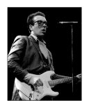 Elvis Costello Edición limitada por Mike Ruiz