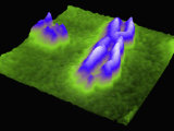 Fragile X Chromosome Made Visible by Atomic Force Microscopy (Afm) Photographic Print by Ben Oostra
